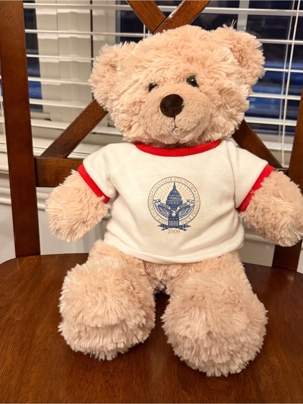 RARE 2009 Presidential Inauguration Bear Obama Biden